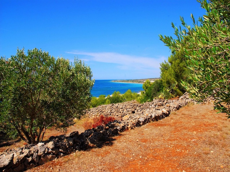 morciano e torre vado6